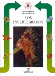 Los invertebrados