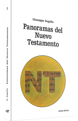 Panoramas Nuevo Testamento.(Estudios Biblicos)