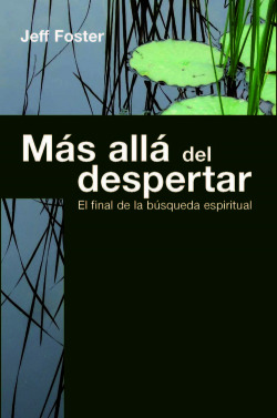Más allá del despertar: el final de la búsqueda espiritual