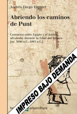 ABRIENDO LOS CAMINOS DE PUNT - Andrés Diego Espinel [AR 45]