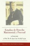 Estudios de derecho matrimonial y procesal en homenaje al Prof. Dr. Juan L. Acebal Luján