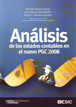 Analisis de los estados contables en el nuevo pgc 2008