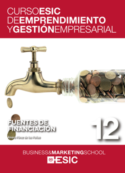 Emprendimiento gestión empresarial. Fuentes de financiación