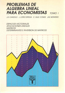 PROBLEMAS DE ALGEBRA LINEAL(I) PARA ECONOMISTAS.