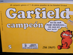 GARFIELD CAMPEON