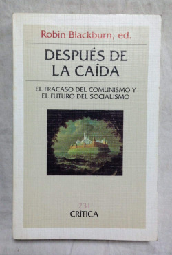 DESPUES DE LA CAIDA