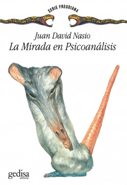 Mirada En Psicoanalisis, La
