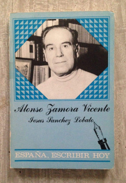 ALONSO ZAMORA VICENTE