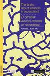 El cerebro: avances recientes en neurociencia