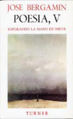 ESPERANDO LA MANO DE NIEVEPOESIA V