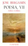 HORA ULTIMAPOESIA VII