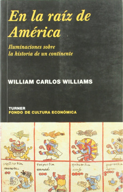 EN LA RAIZ DE AMERICA