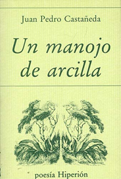 UN MANOJO DE ARCILLA