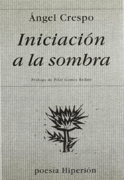 INICIACION A LA SOMBRA