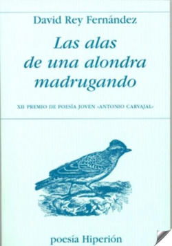 Las alas de una alondra madrugando