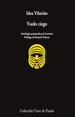 VUELO CIEGO