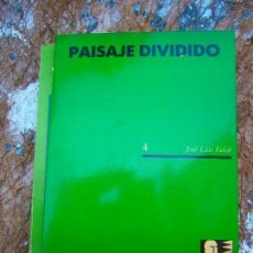 PAISAJE DIVIDIDO