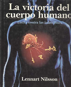 VICTORIA CUERPO HUMANO