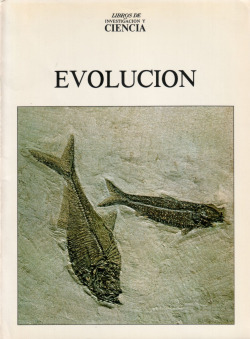 EVOLUCION