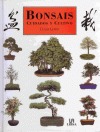 Bonsais, cuidados y cultivo