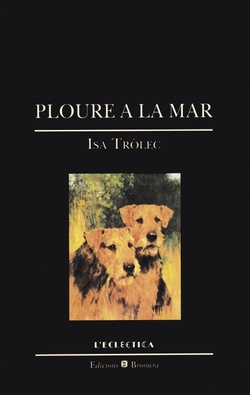 Ploure a la mar