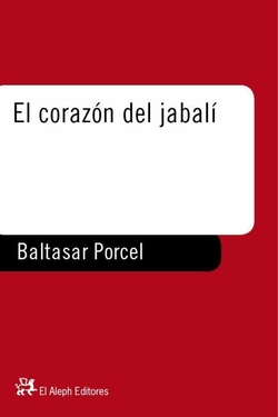 El corazón de jabalí