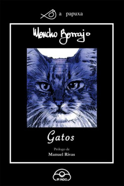 Gatos