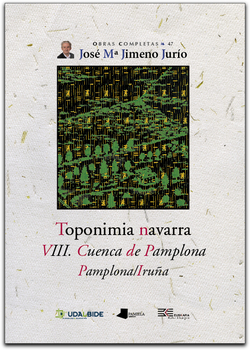 TOPONIMIA NAVARRA VIII. CUENCA DE PAMPLONA. PAMPLONA/IRUNA
