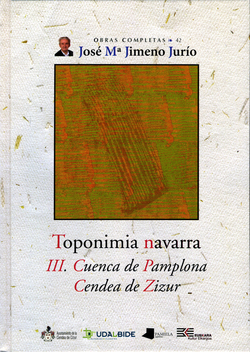 TOPONIMIA NAVARRA III. CUENCA DE PAMPLONA. CENDEA DE ZIZUR
