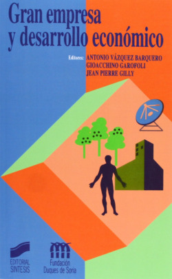 GRAN EMPRESA Y DESARROLLO ECONOMICO