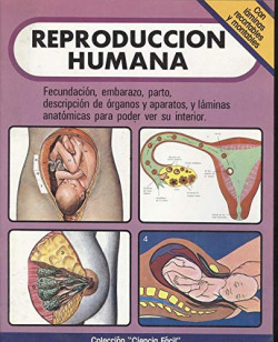 REPRODUCCION HUMANA