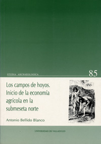 Campos De Hoyos, Los. Inicio De La Economia Agricola En La Submeseta Norte