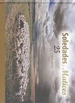 SOLEDADES Y MATICES