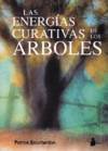 Las energías curativas de los árboles
