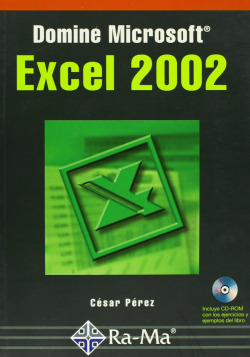 DOMINE MSOFT.EXCEL 2002