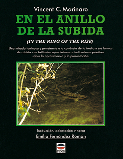 En el anillo de la subida