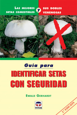 Guia para identificar setas con segridad