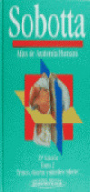 Atlas anatomia humana tomo ii