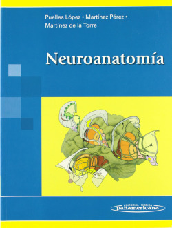 Neuroanatomía.