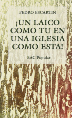 íUn laico como tú en una Iglesia como ésta!