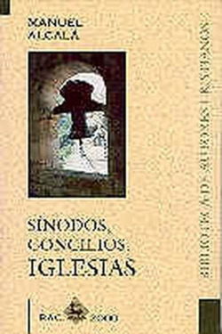 Sínodos, concilios, Iglesias