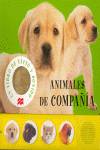 Animales de compañía