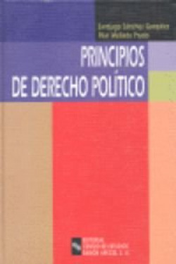 Principios de derecho político