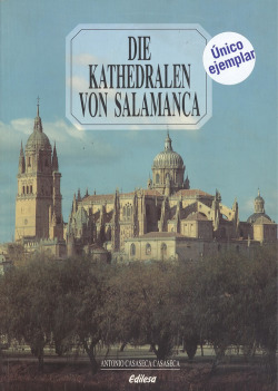 Die kathedralen von Salamanca