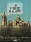 The cathedrals of Salamanca