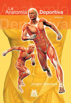 La anatomia deportiva