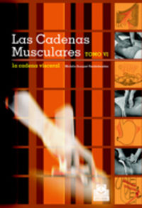 VI.cadenas musculares.