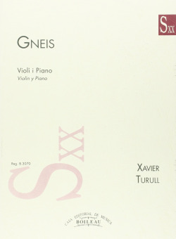 Gneis.(Reducción)