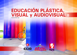 Educación plástica visual y audiovisual B