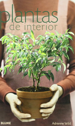 PLANTAS DE INTERIOR